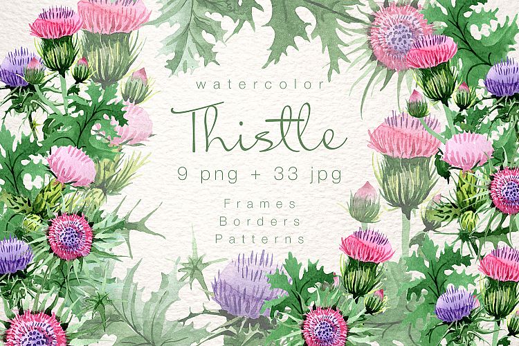 Cool Thistle PNG watercolor set