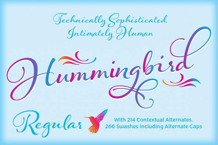 Hummingbird Regular