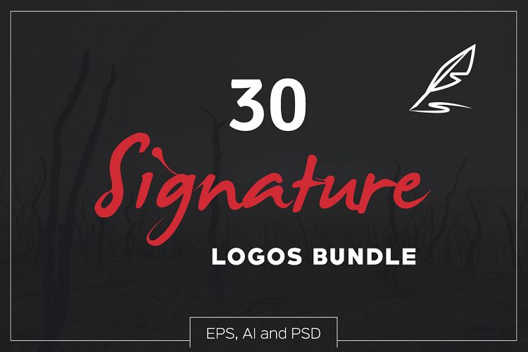 30 Signature Logos Bundle