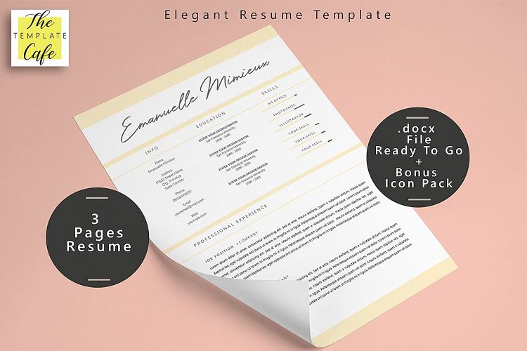 Elegant MS Word Resume Template