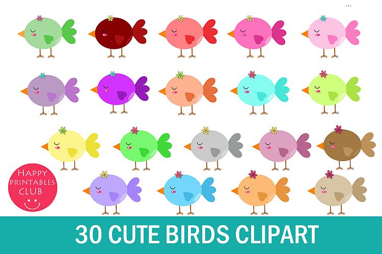 30 Cute Birds Clipart-Small Birds Clipart-Baby Bird Clipart