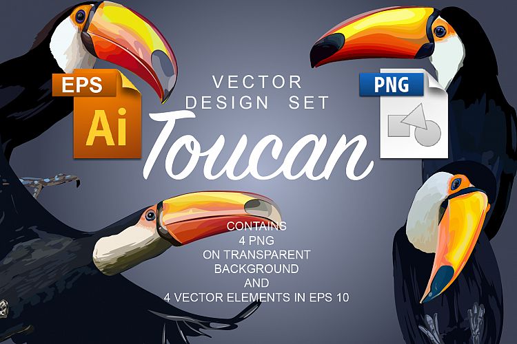 Toucan Design Set