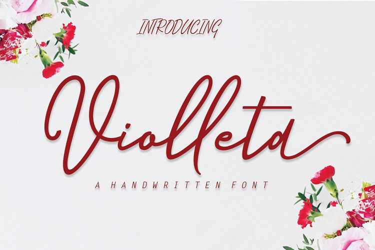 Violleta Script