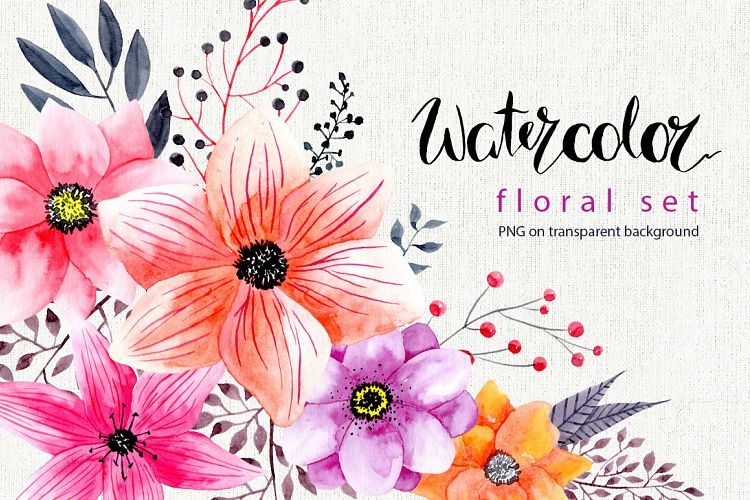 Watercolor png flowers