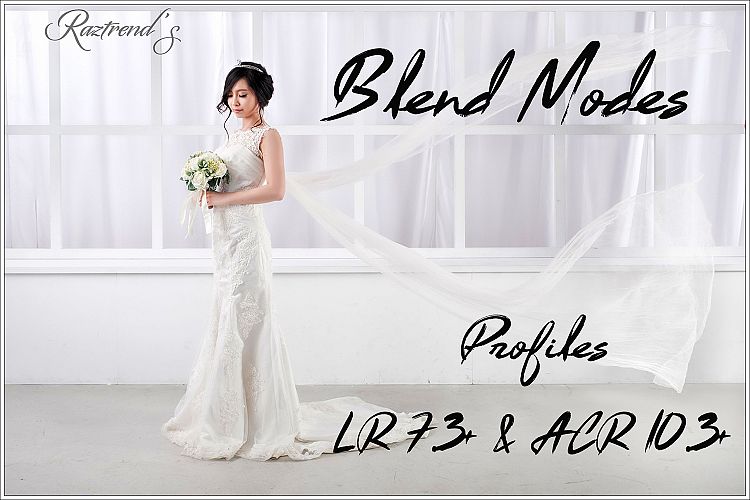 Blend Modes Profiles LR7.3 ACR10.3