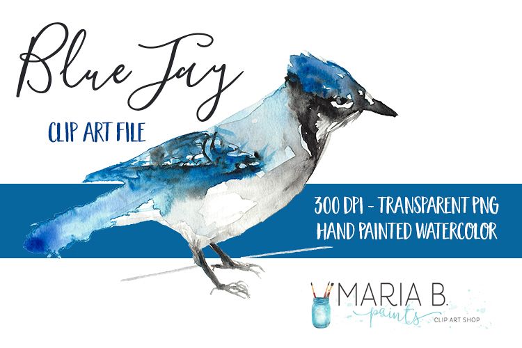 Blue Jay Bird Watercolor Clip Art PNG