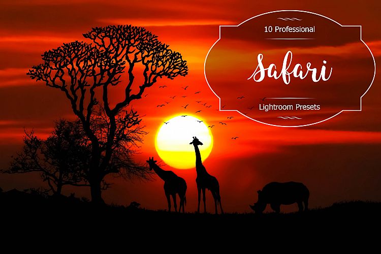 Safari Lr Presets