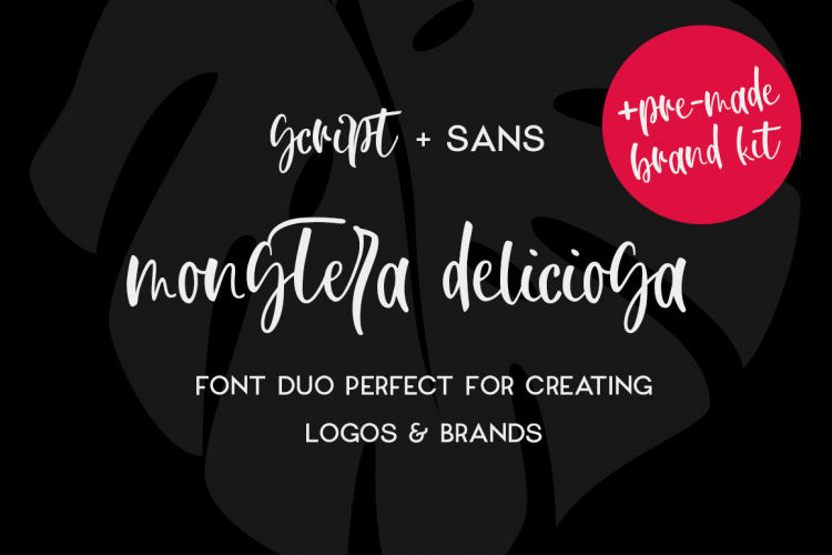 Monstera Deliciosa Font Duo