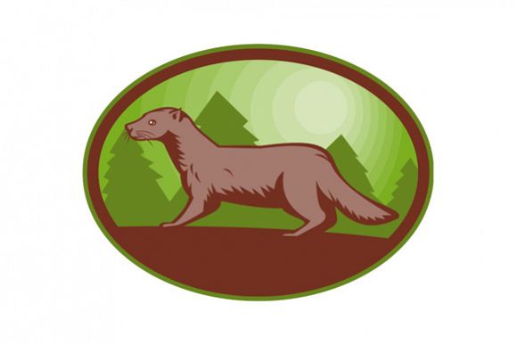 European Mink Retro example image 1