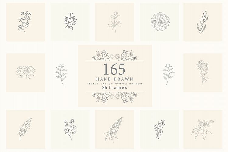 165 Hand Drawn Floral Elements, Frames.