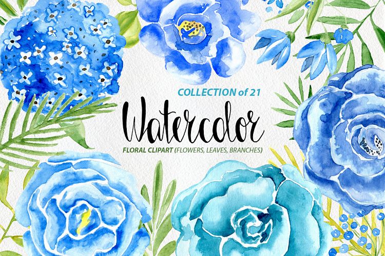 Watercolor blue flowers roses set