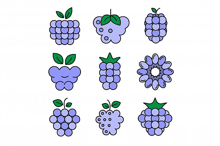 Raspberry icons vector flat example image 1