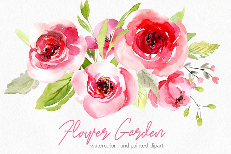 Watercolor pink roses flowers leaves PNG