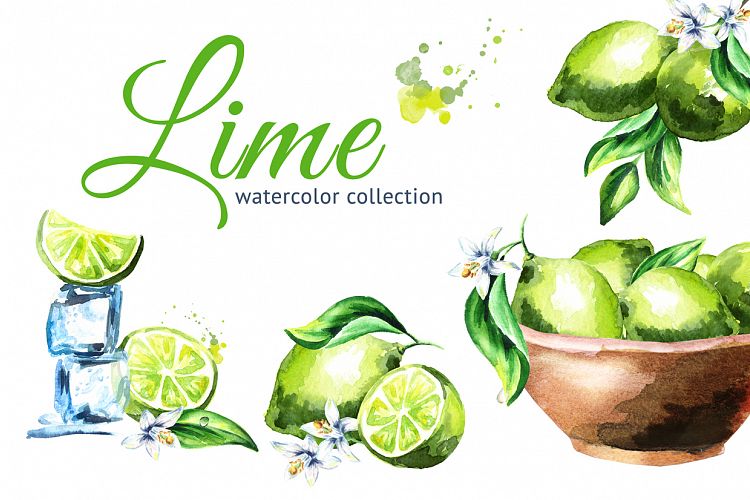 Lime. Watercolor collection