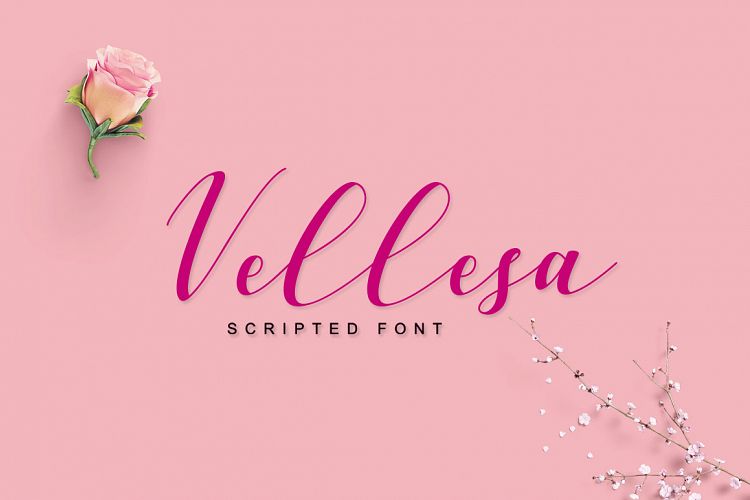 Vellesa Script