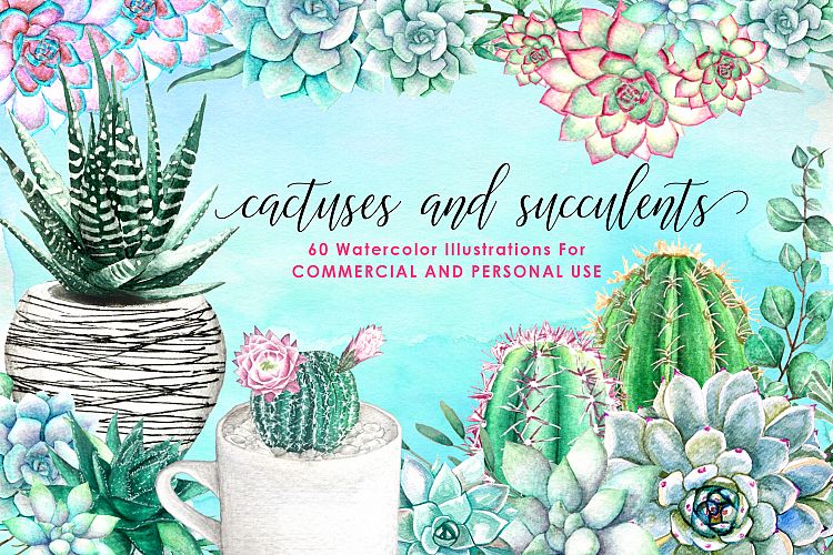 60 Watercolor Succulents and Cactus Bundle Watercolor Flowers 