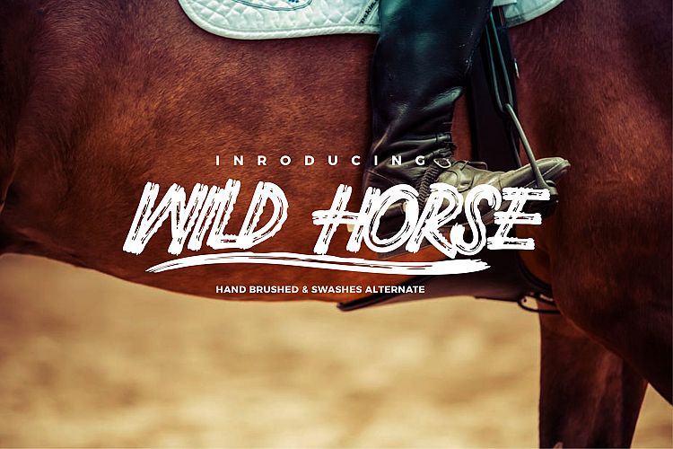 Wild Horse and Swashes