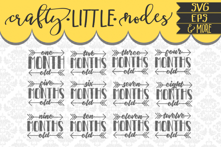 Months Old Arrows Bodysuit / Blanket SVG Set Cricut Silhouette Cuttable File 
