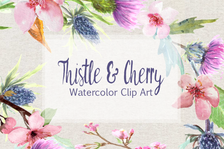 Watercolor Thistle and Cherry Clip Art Set