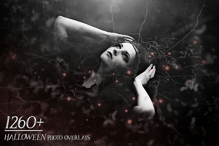 1260 Halloween Photo Overlays