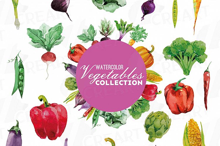 Watercolor Vegetables clip art pack, green and colorful vegetables. Healthy Food, eps png, jpg, svg, vector files included, instant download