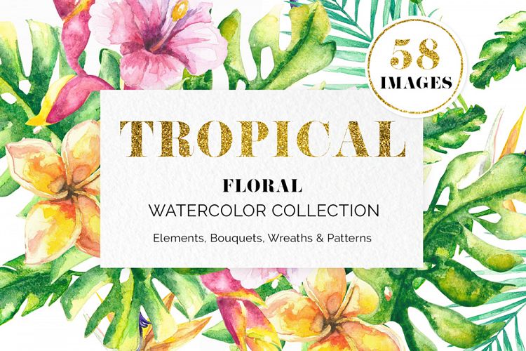 Tropical Floral Watercolor Collection