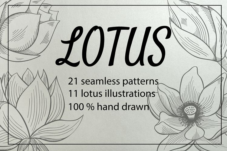 Lotus illustrations and seamless patterns Illustrations 