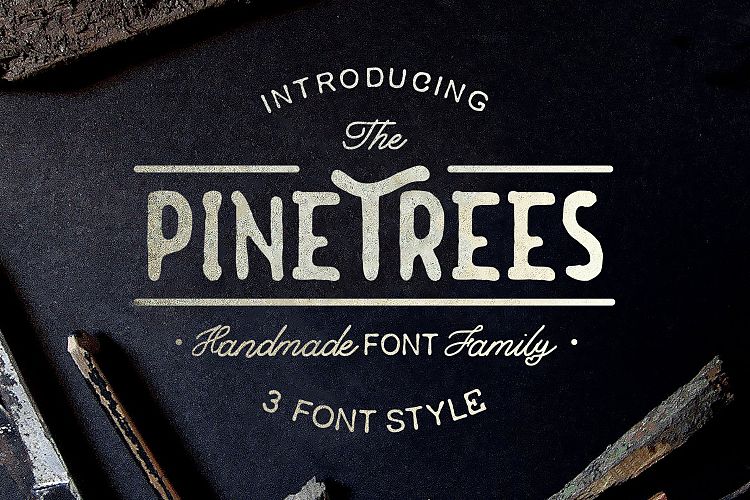 Summer  3 Font Bundles