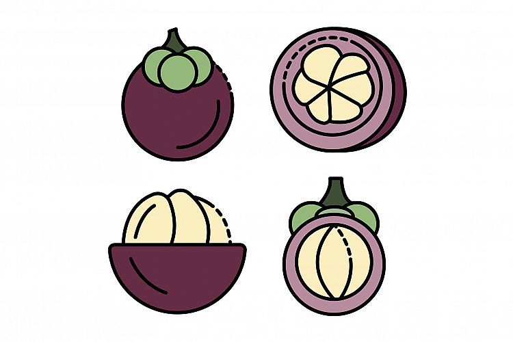 Mangosteen icons set vector flat example image 1