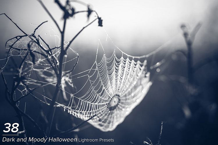 38 Dark and Moody Halloween Presets