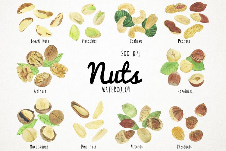 Watercolor Nuts Clipart, Nuts Clip Art, Pistachios Clipart