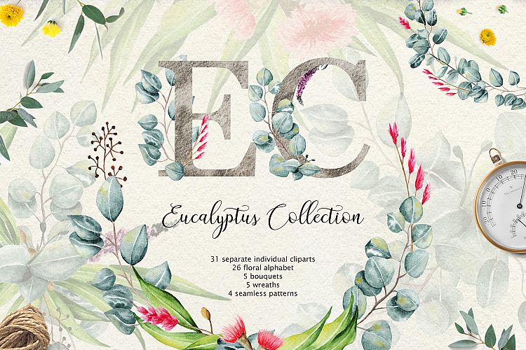 Eucalyptus CollectionLetter