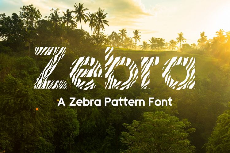 Zebra