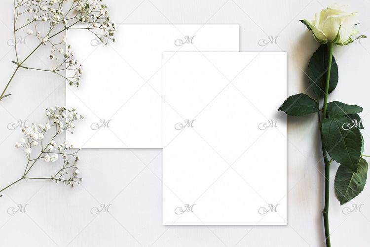 White Rose Mockup. PSD & JPG.