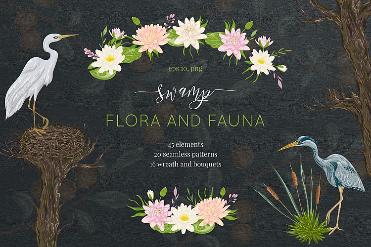 Swamp flora and fauna