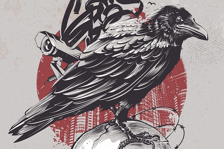 Crow on Skull
