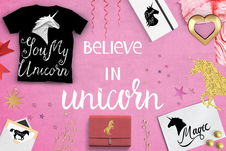 BELIEVE in UNICORN
