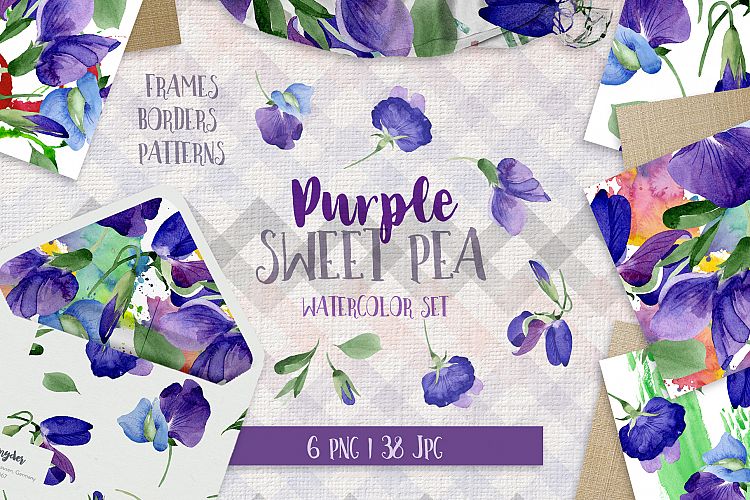 Purple sweet pea PNG watercolor flower set