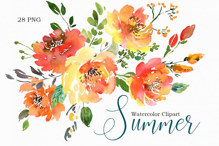 Summer Orange Watercolor Flowers PNG Collection