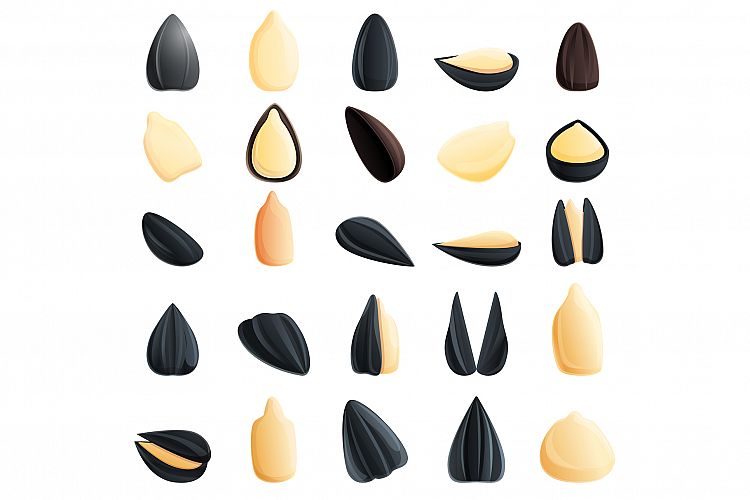 Seed Clipart Image 15