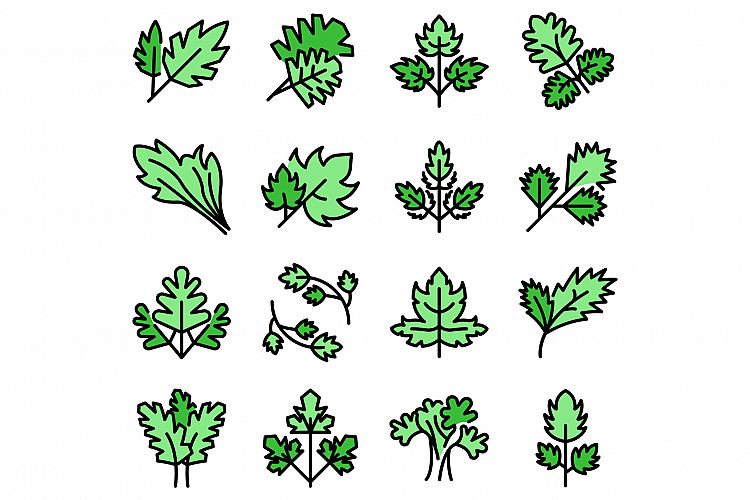 Parsley icons set vector flat example image 1