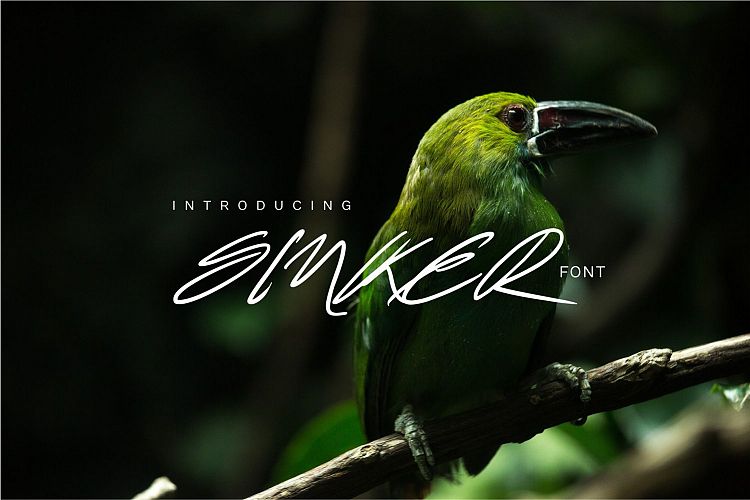 Sinker example image 1
