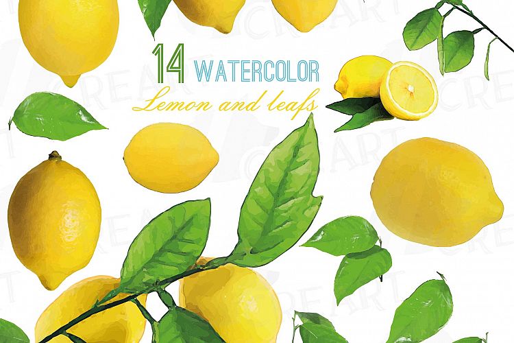 Watercolor lemons, branch and leaves clip art pack, watercolor lemon clip art, exotic fruit, png, pdf, jpg, svg, eps, vector files included.