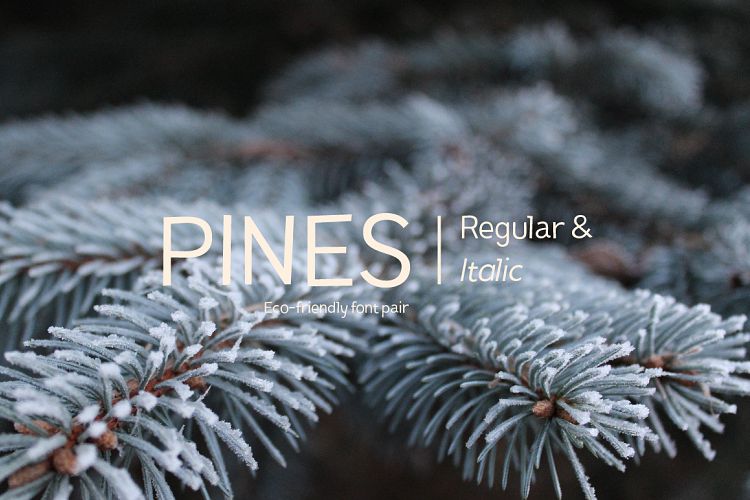 Pines Regular   Pines Italic