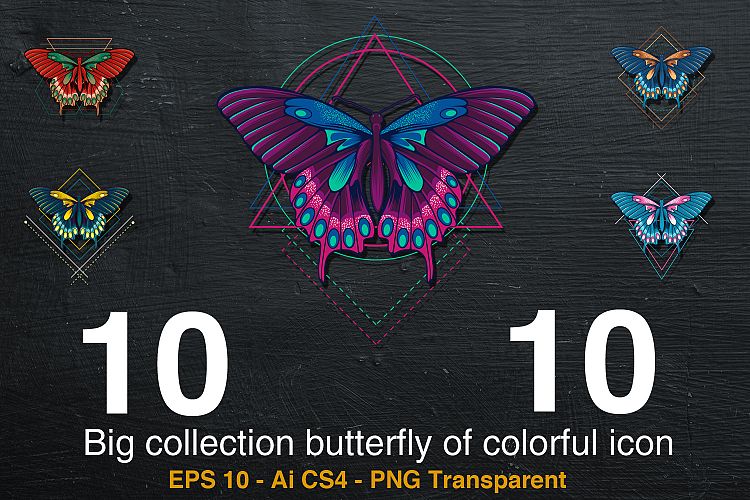 10 Big collection butterfly of colorful icon