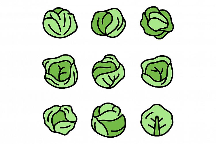 Cabbage icons set vector flat