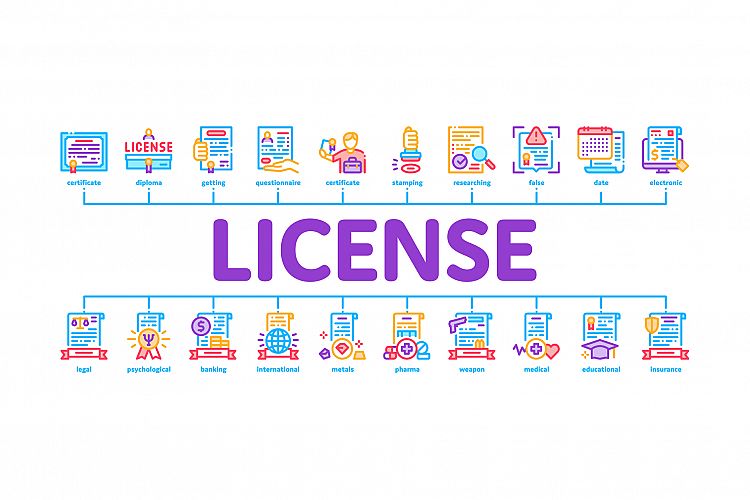 License Certificate Minimal Infographic Banner Vector example image 1