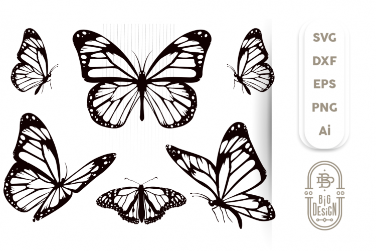 Butterfly Svg Bundle - 6 Monarch Butterfly Svg Cut Files ...