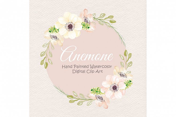 Watercolor Anemone Rose Blush clipart