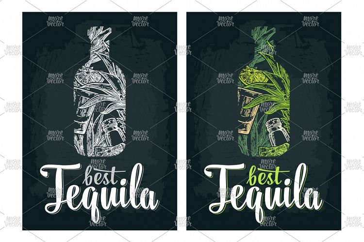 Bottle of tequila with glass, cactus, salt and lime.